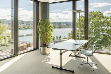 Geschäftshaus Rosau, Zürich Bild